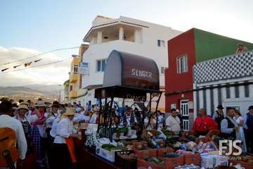 Alegre y participativa romería en El Ejido (Foto FJ Santana y TF)